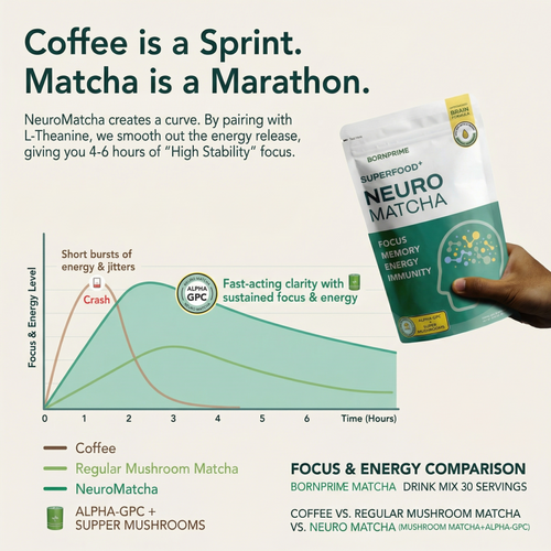 BORNPRIME NeuroMatcha Mushroom Matcha With Alpha GPC