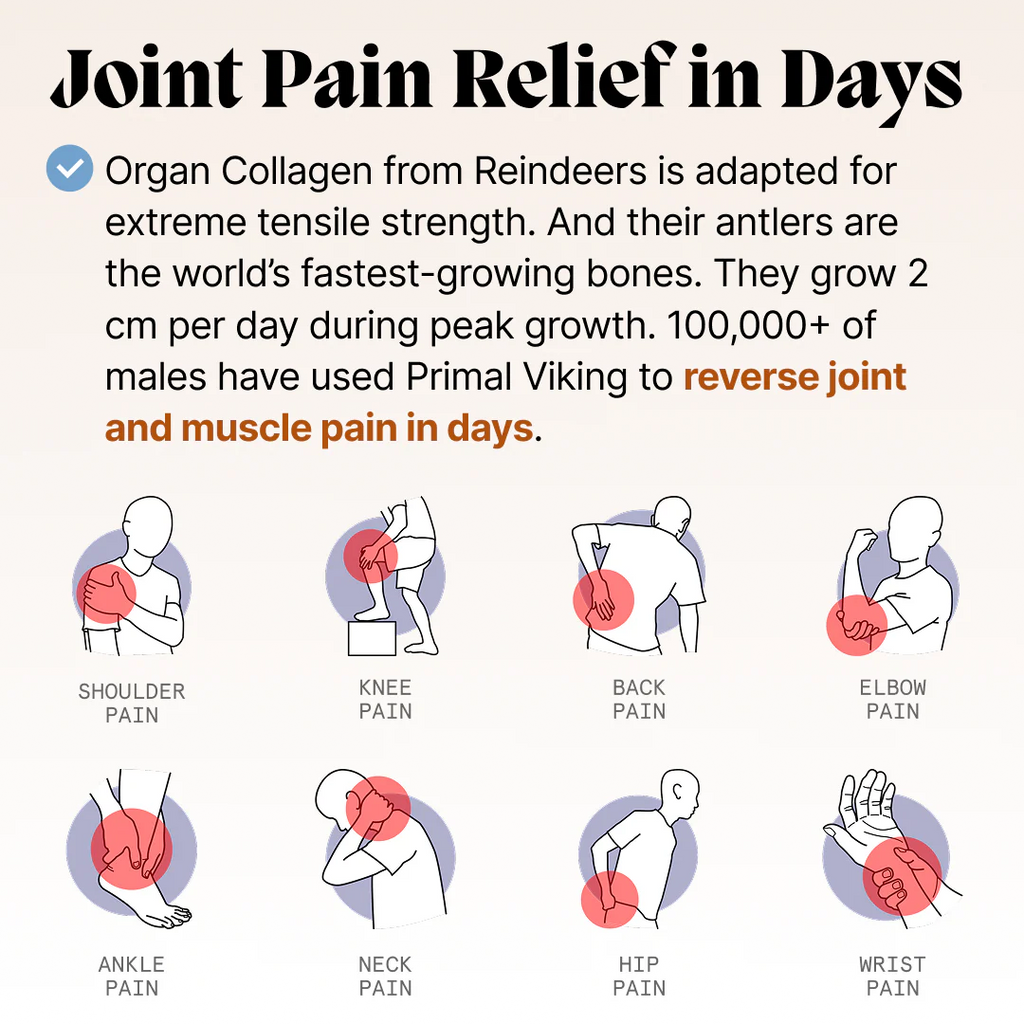 REINDEER ORGANS TESTOSTERONE SUPPORT
