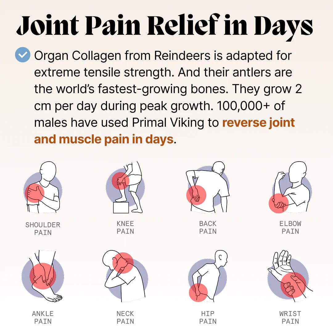 REINDEER ORGANS TESTOSTERONE SUPPORT