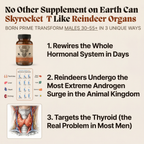 REINDEER ORGANS TESTOSTERONE SUPPORT
