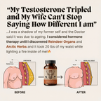 REINDEER ORGANS TESTOSTERONE SUPPORT